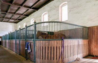 Propriété historique à vendre Žagariškiai, Šiaulių apskritis, Boxes pour chevaux