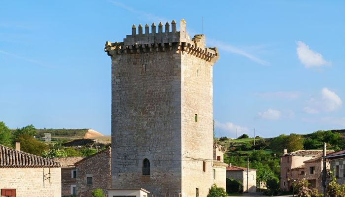 Propriété historique à vendre Villadiego, Castille-et-León,  Espagne