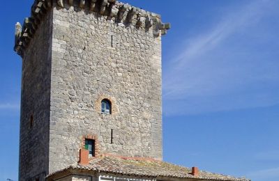 Propriété historique à vendre Villadiego, Travesia de la iglesia S/n, Castille-et-León,, Tour