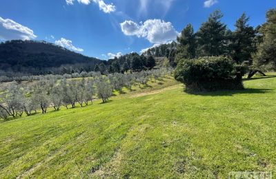 Maison de campagne à vendre Rivalto, Toscane, Terrain