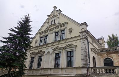 Château à vendre Lubinicko, Lubinek, Lubusz, Vue latérale