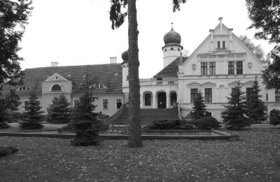 Château à vendre Lubinicko, Lubinek, Lubusz, Vue frontale