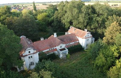 Manoir à vendre Oporowo, Dwór w Oporowie 1, Grande-Pologne, Photo Drone