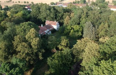 Manoir à vendre Oporowo, Dwór w Oporowie 1, Grande-Pologne, Park