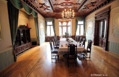 Villa historique à vendre Ústecký kraj, Image 6/17