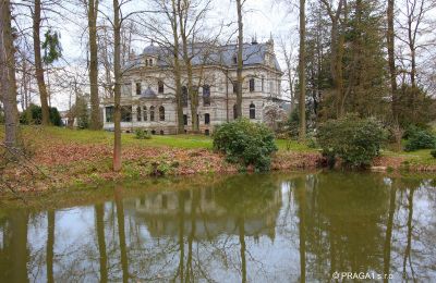 Villa historique à vendre Ústecký kraj, Jardin