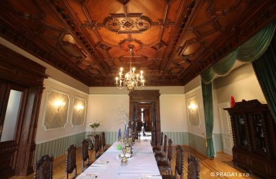 Villa historique à vendre Ústecký kraj, Image 7/17