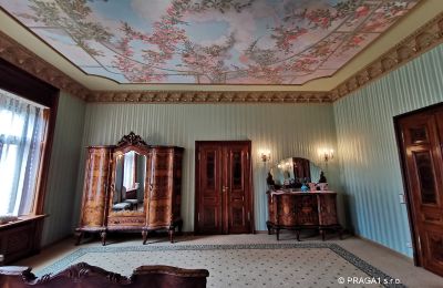 Villa historique à vendre Ústecký kraj, Image 15/17
