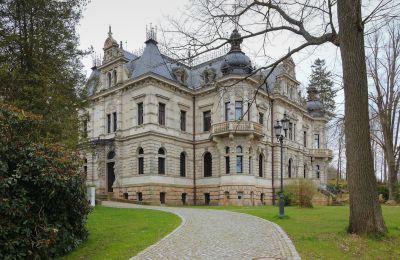 Villa historique à vendre Ústecký kraj, Vue extérieure