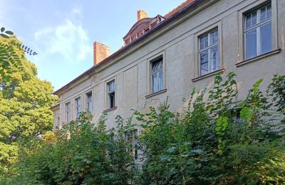 Manoir à vendre Osieczna, Grande-Pologne, Vue de l'arrière