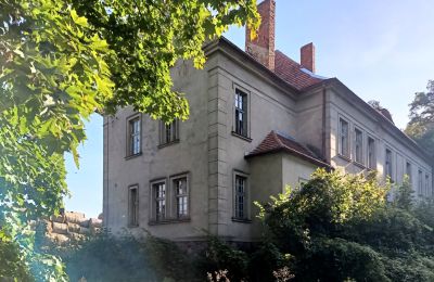 Manoir à vendre Osieczna, Grande-Pologne, Vue latérale