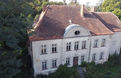 Manoir à vendre Osieczna, Grande-Pologne, Photo Drone