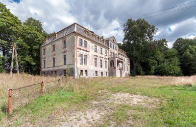 Château à vendre 77-304 Gockowo, Pałac Gockowo, Poméranie, Terrain