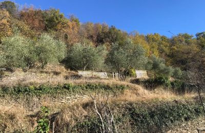 Maison à vendre Erli, Ligurie, Image 26/31