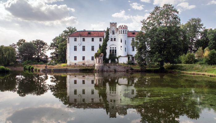 Château Dobrocin 1