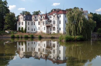 Château à vendre Dobrocin, Pałac w Dobrocinie, Basse-Silésie, Pałac w Dobrocinie