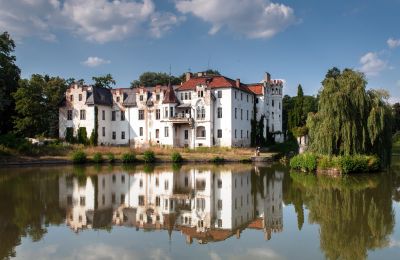 Château à vendre Dobrocin, Pałac w Dobrocinie, Basse-Silésie, Image 6/17