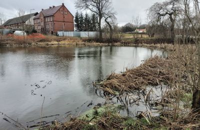 Château à vendre Bronów, Pałac w Bronowie, Basse-Silésie, Lac/étang