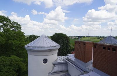 Château à vendre Malina, Pałac Malina, Łódź, Toit