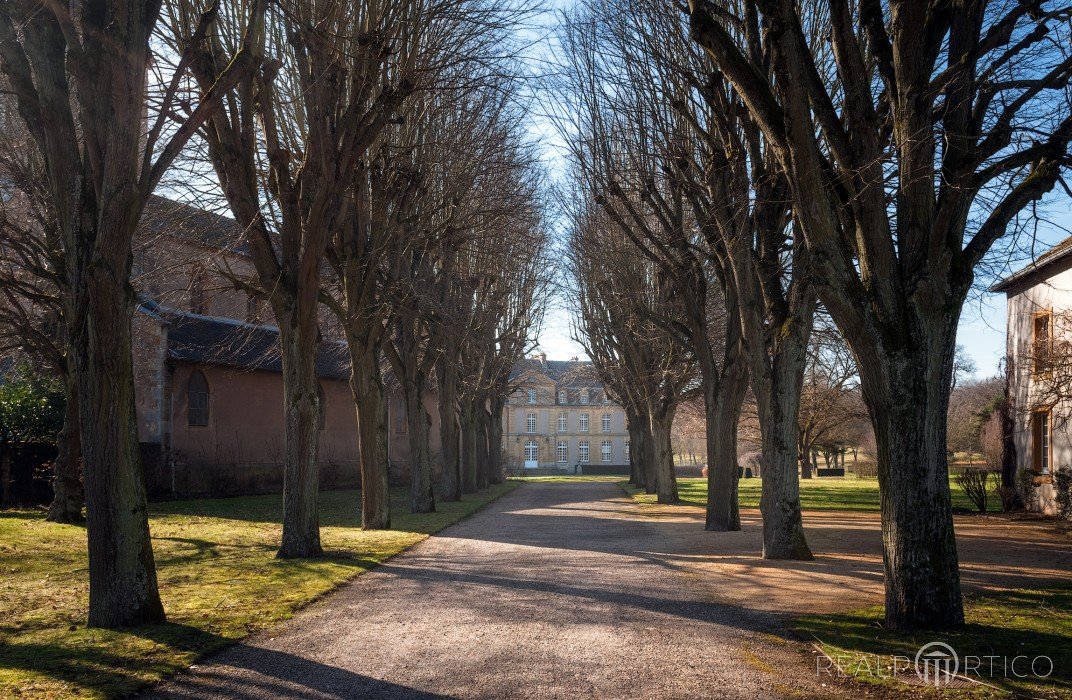  Château de Pange, Pange