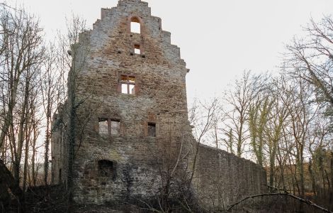 Lehrbach, Burg Lehrbach - Ruines de château en Hesse : Lehrbach